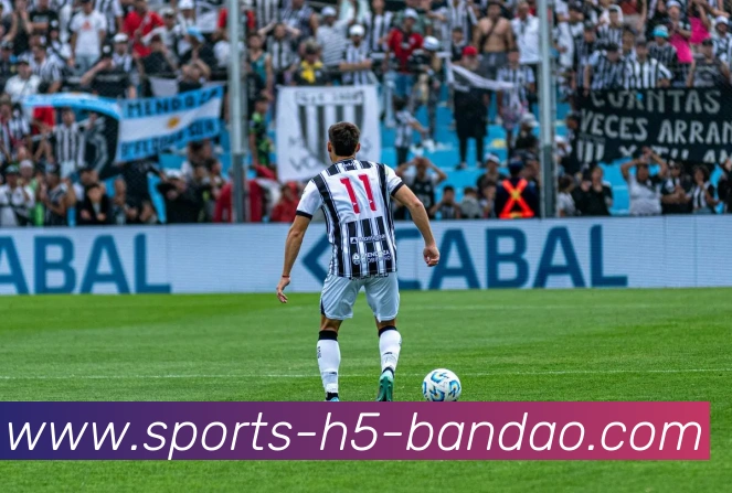 半岛体育平台生态图