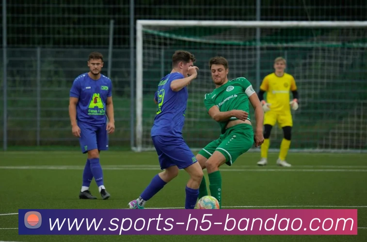 半岛体育APP 封面图